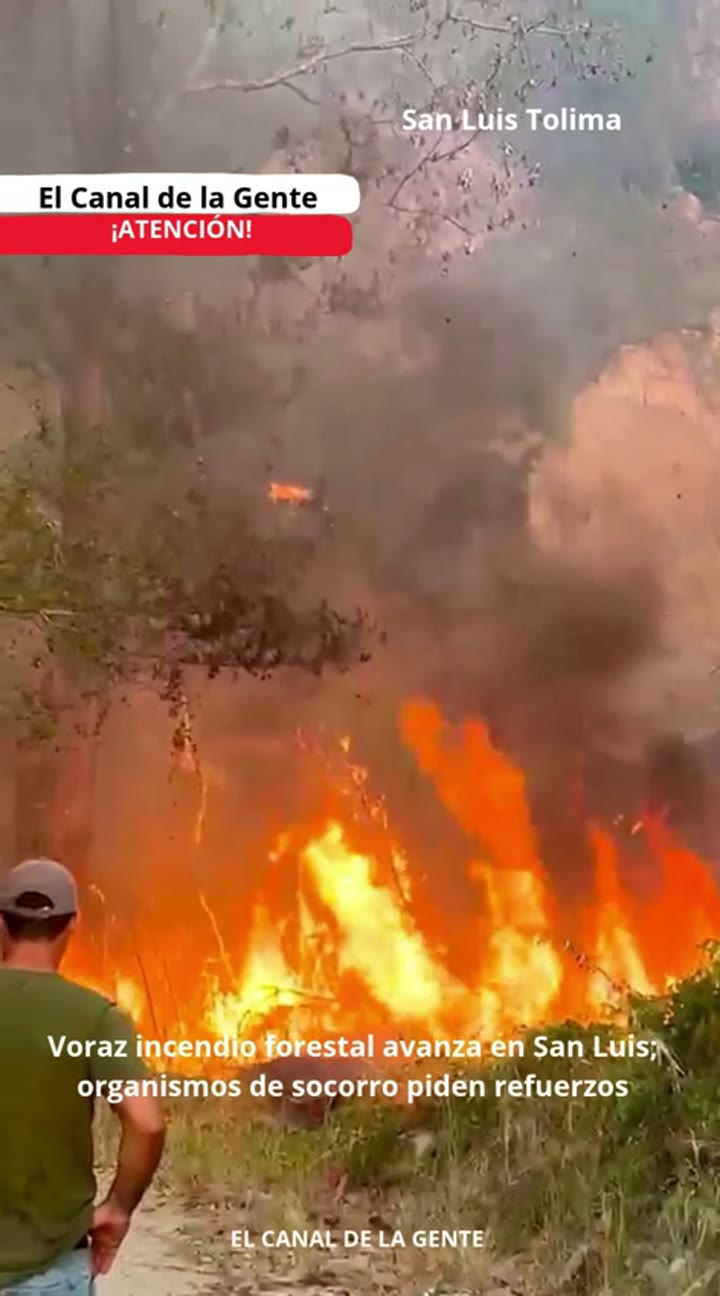 ¡URGENTE! Incendio forestal avanza en zona rural de San Luis, Tolima; organismos de socorro solicitan apoyo