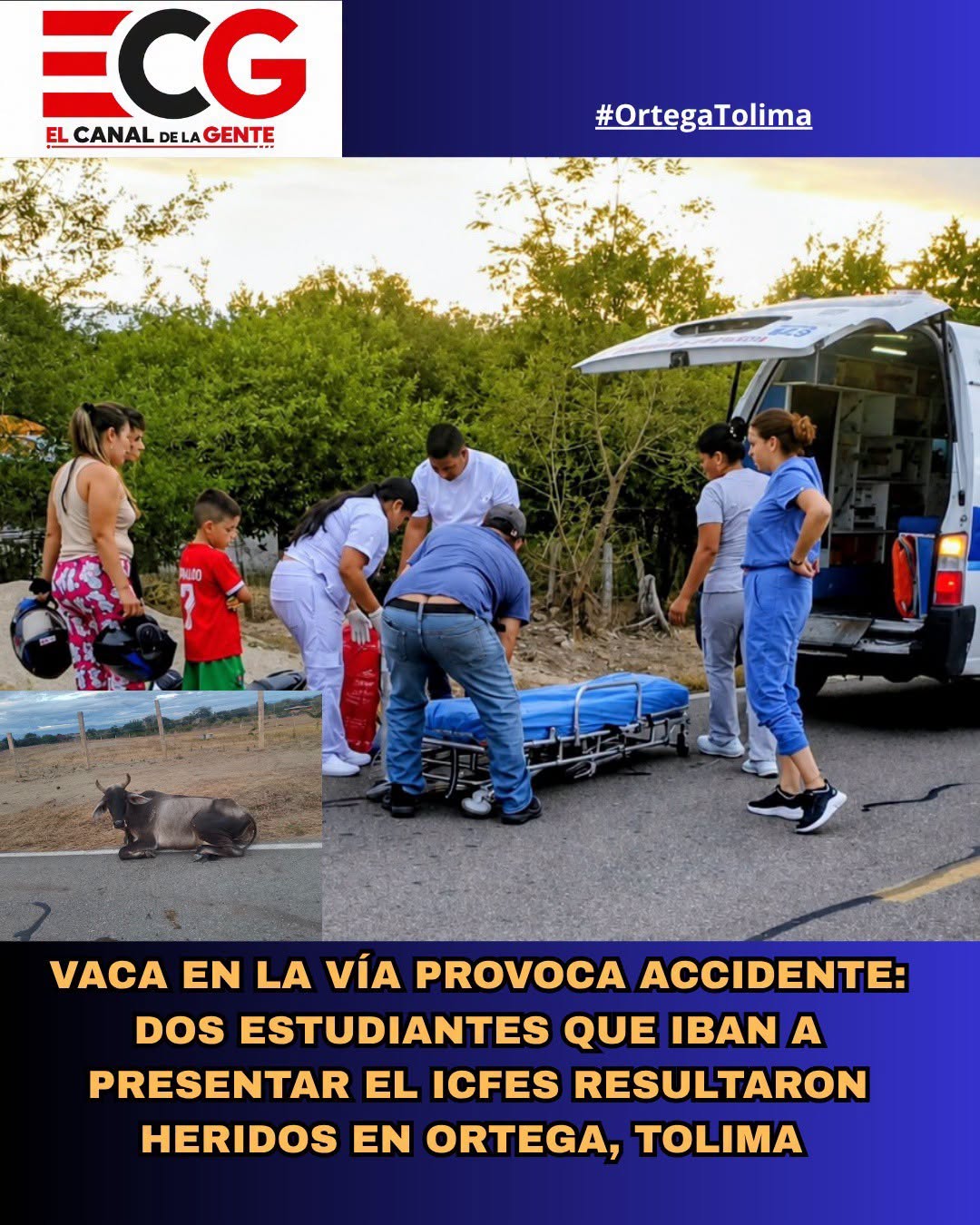 ! ATENCIÓN! VACA EN LA VÍA PROVOCA ACCIDENTE: DOS ESTUDIANTES QUE IBAN A PRESENTAR EL ICFES RESULTARON HERIDOS EN ORTEGA