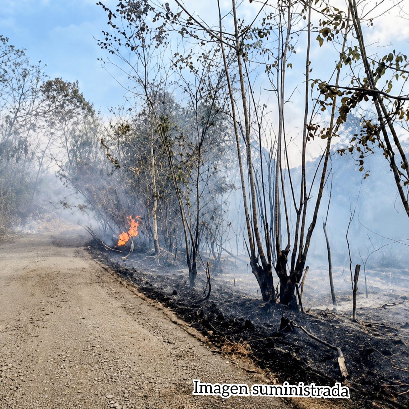 REPORTE CIUDADANO Esta la situación de uno de los incendios forestales en San Luis, Tolima