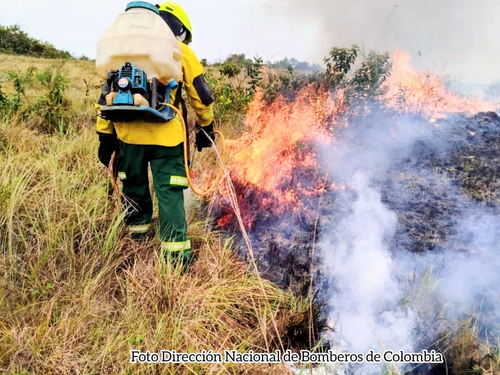 Procuraduría prende las alarmas: siete municipios del Tolima sin convenio bomberil