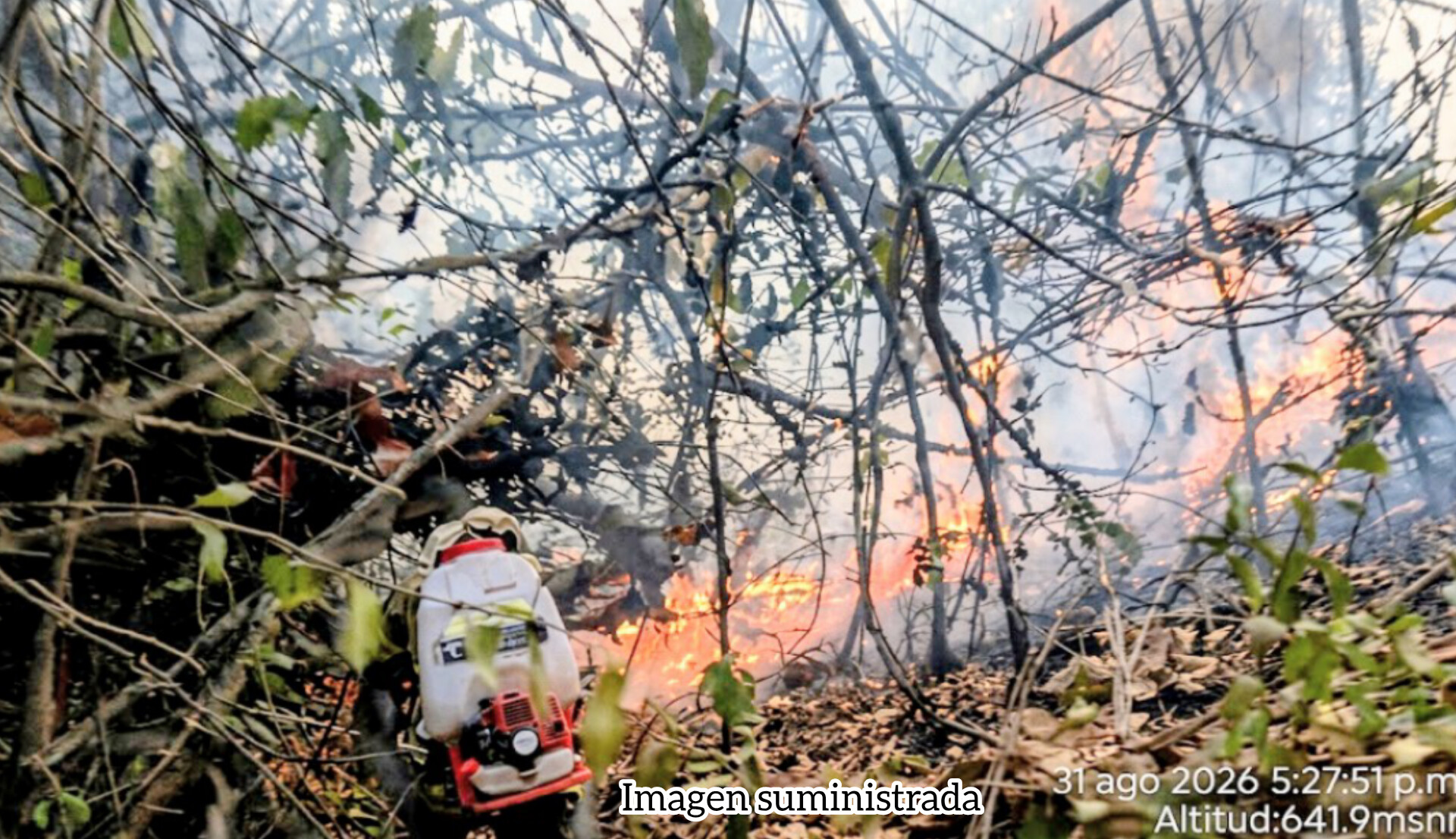 ATENCIÓN Piden apoyo urgente para controlar incendio forestal sector La Mariposa, cerca de Ibagué