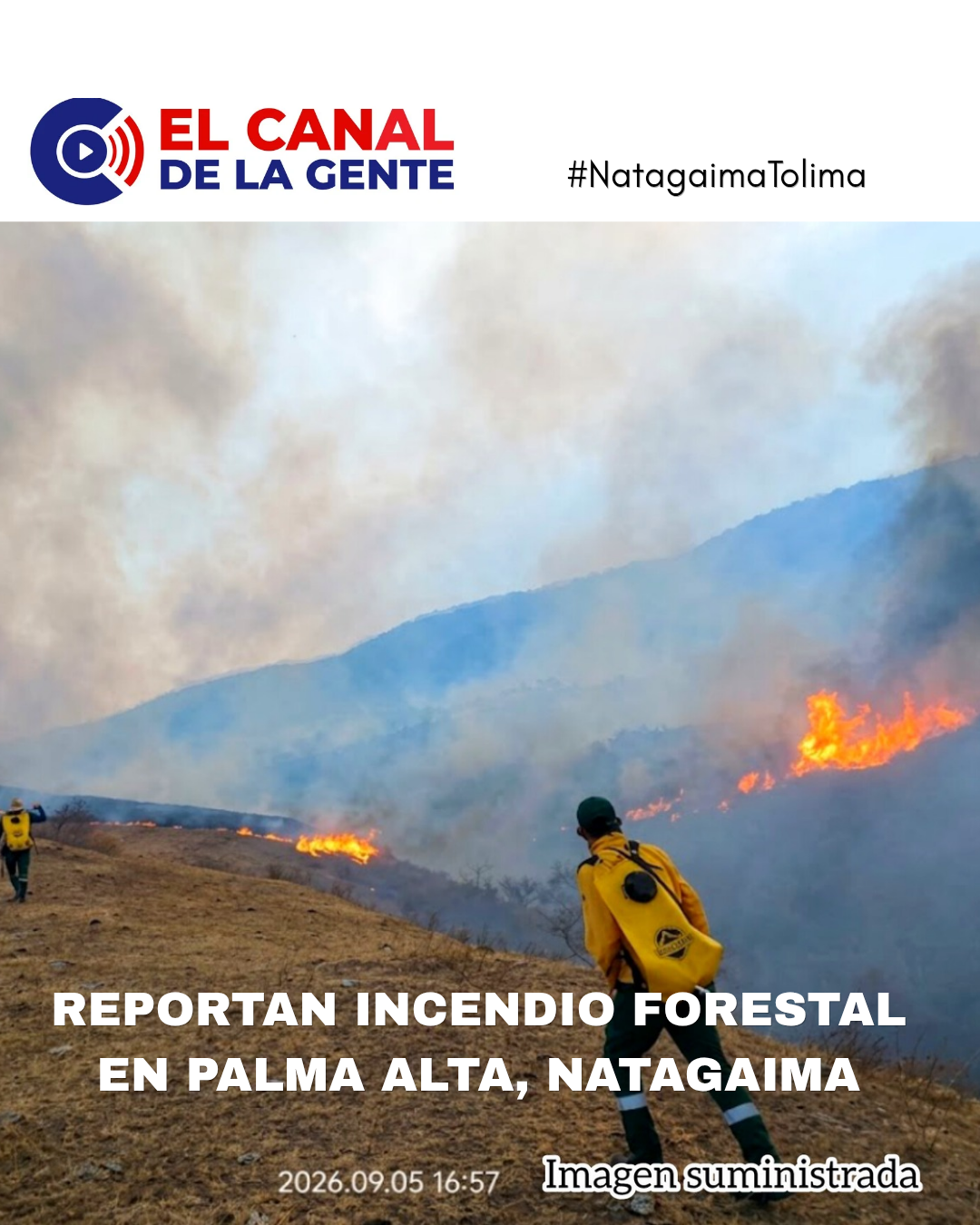 Reportan incendio forestal en la vereda Palma Alta de Natagaima, Tolima