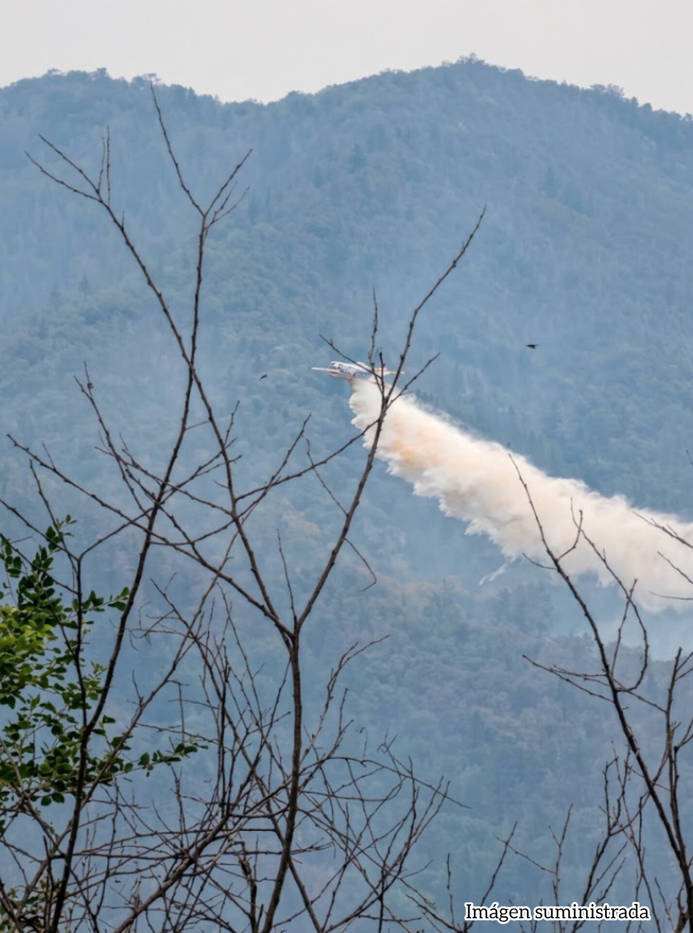ATENCIÓN: AERONAVES REALIZAN DESCARGAS AÉREAS PARA ATENDER INCENDIO FORESTAL EN PAYANDÉ