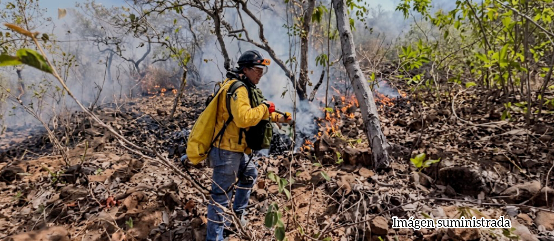 Bomberos y Comunidad ya están en terreno controlando el incendio forestal en Natagaima