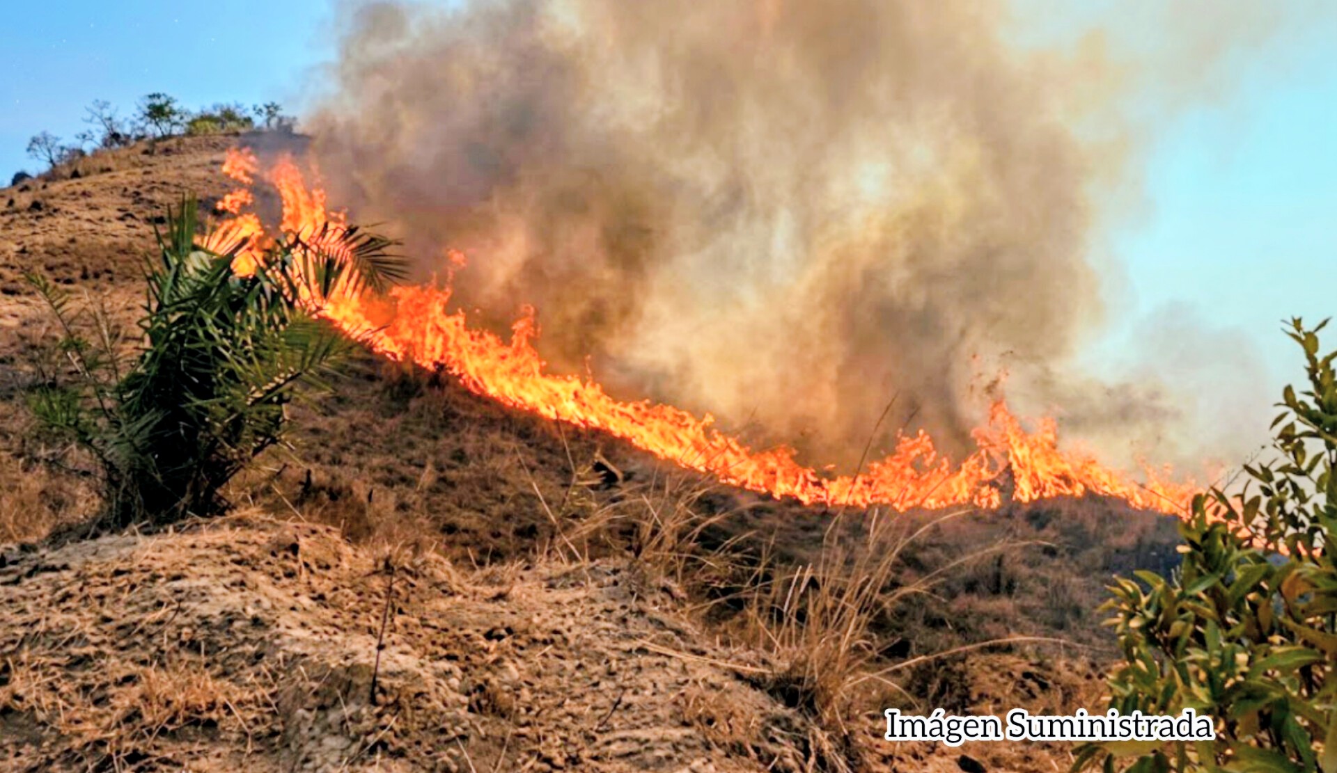 Fuerte incendio forestal mantiene en alerta a las veredas Olaya Herrera y El Llano, en Ortega