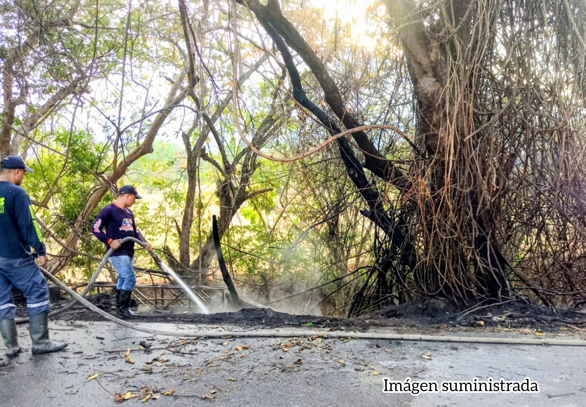 Incendio comprometió red principal de gas que conduce el servicio hacia Prado, Tolima