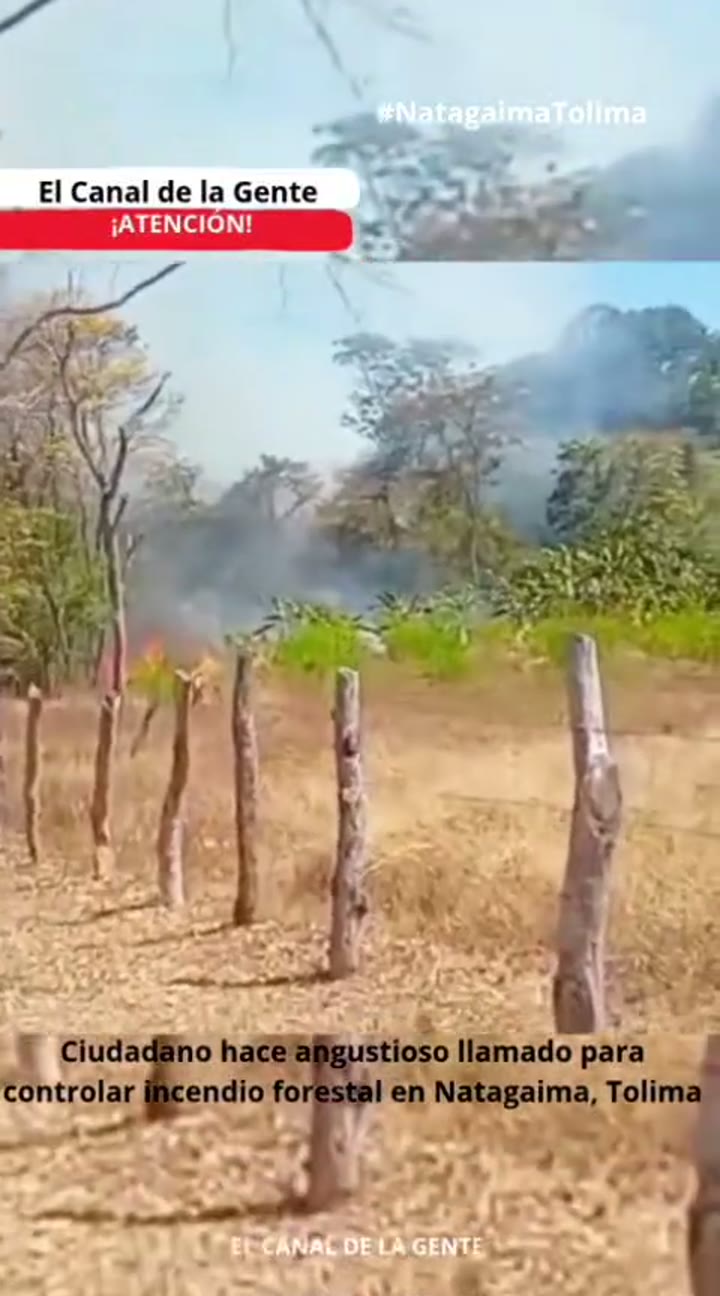 #URGENTE - Ciudadano hace angustioso llamado para controlar incendio forestal en Natagaima, Tolima