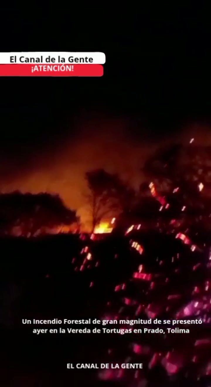 ATENCIÓN Un incendio Forestal de gran magnitud se presentó ayer en la Vereda de Tortugas en Prado, Tolima